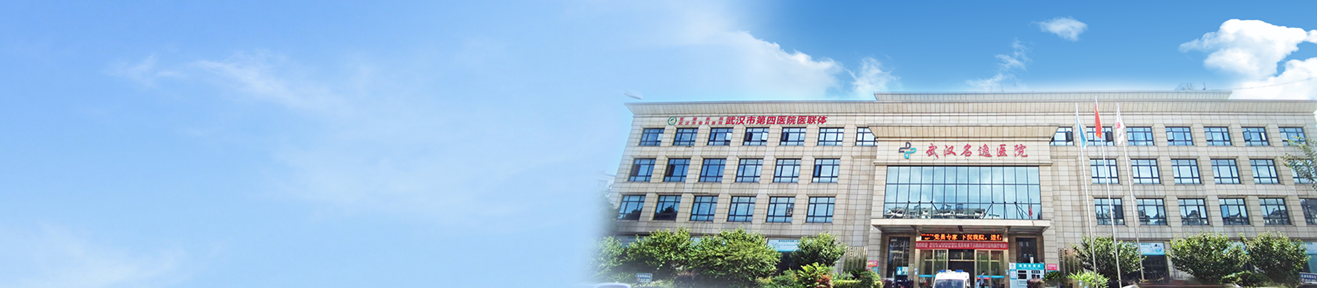 武汉名逸中西医结合医院