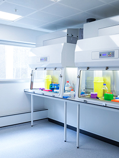 MSC机体修复疗法