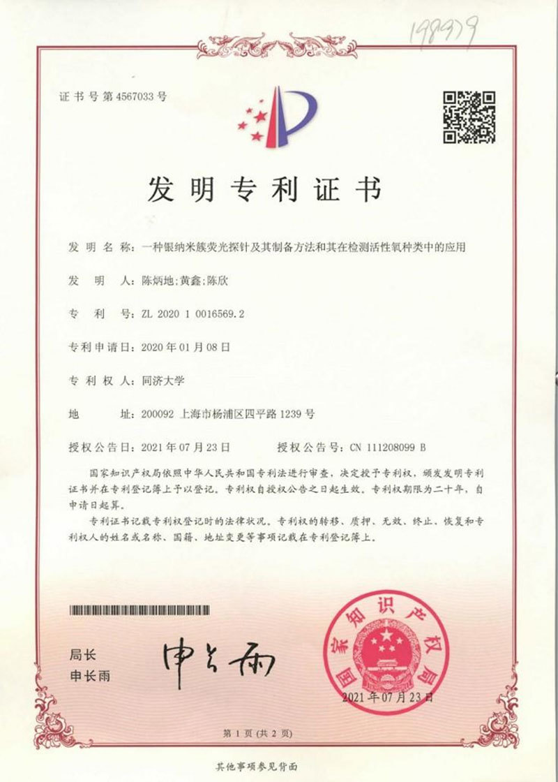 一种银纳米簇荧光探针及其制备方法和其在检测活性氧种类中的应用