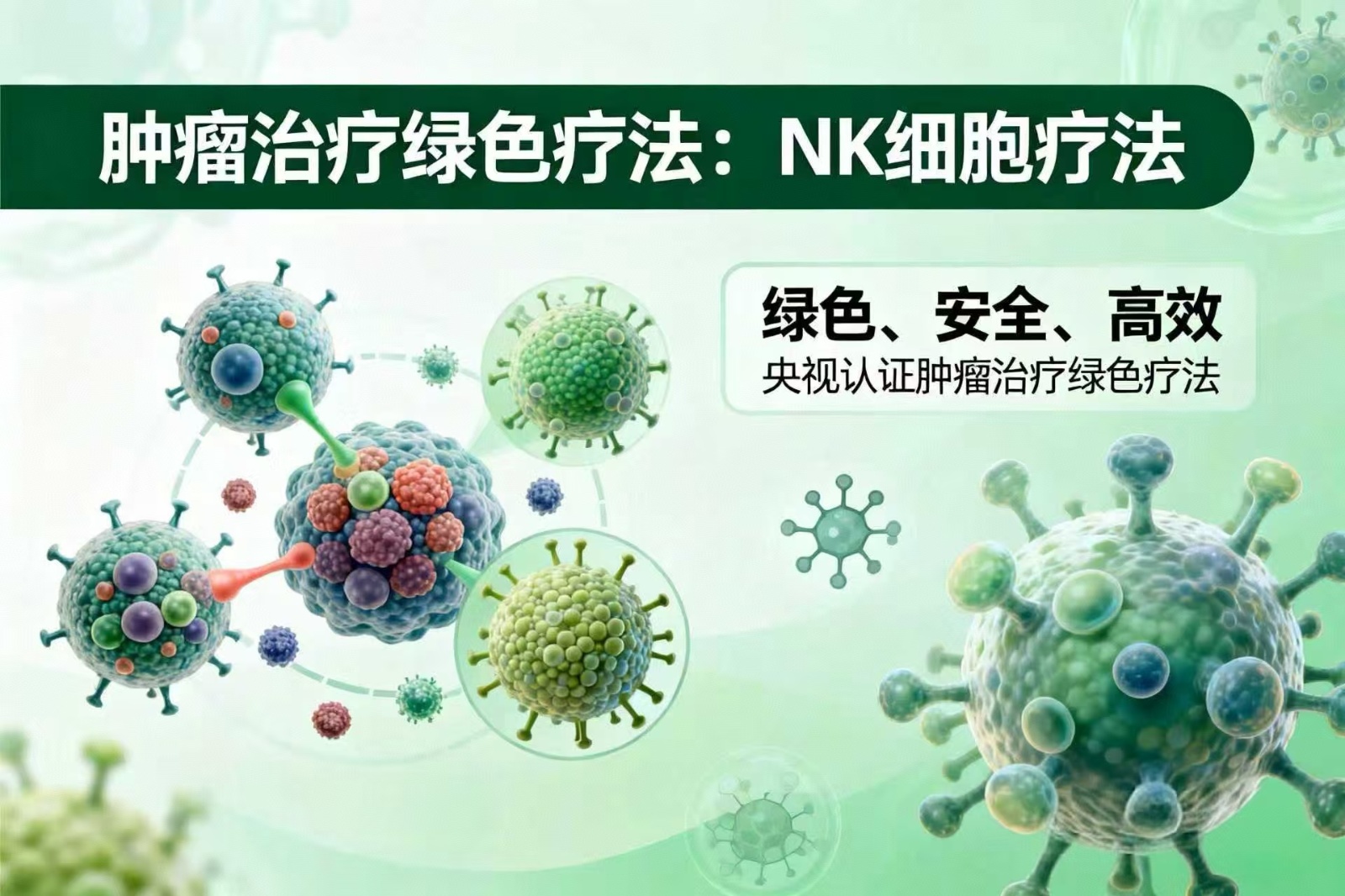 NK细胞疗法：央视力荐的&ldquo;绿色抗癌&rdquo;新选择